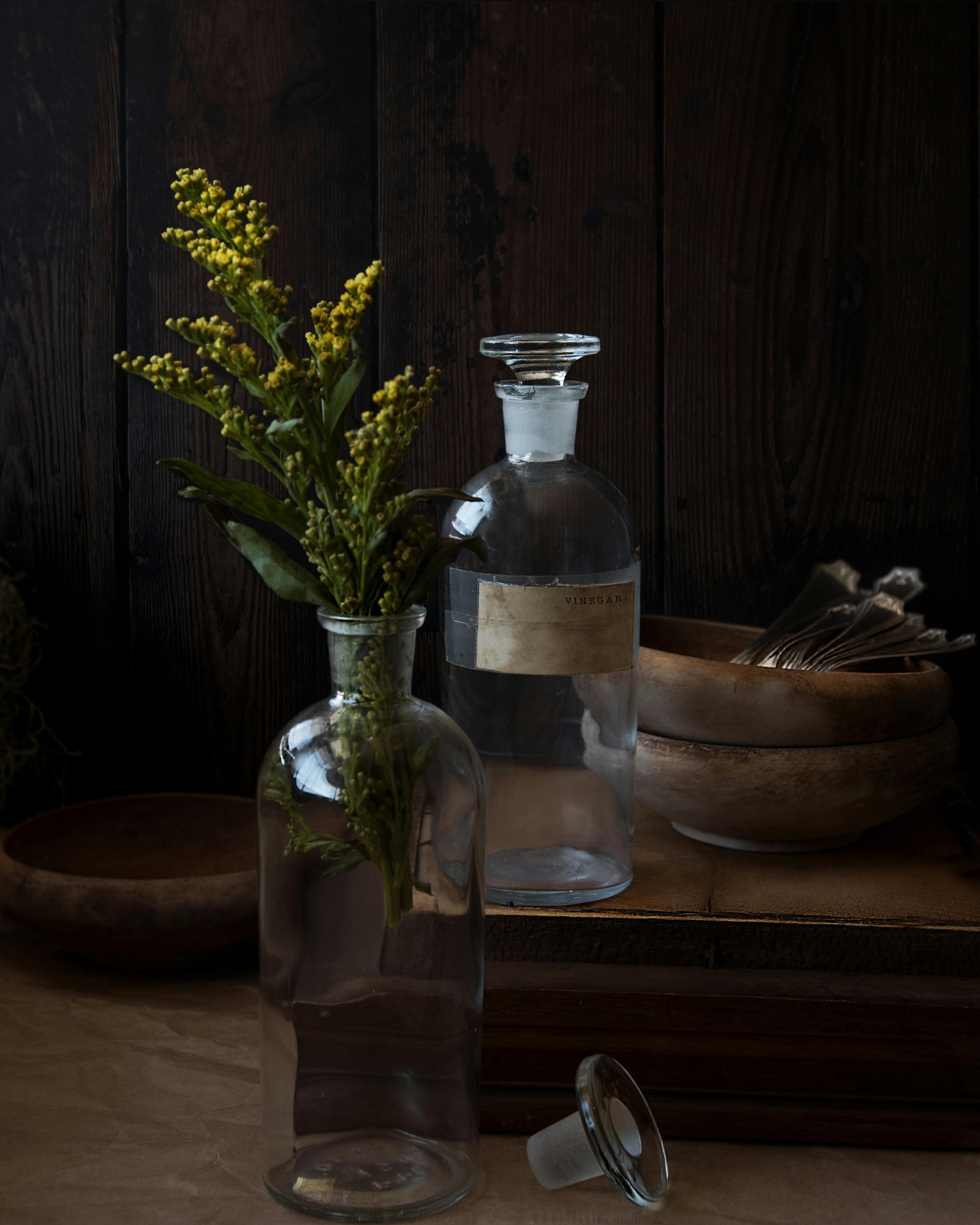 Kräuterbalance mit Dreamy Infusion pexels-fariphotography-1084586.jpg