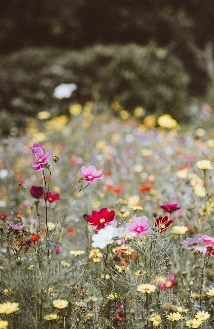 banner-bild-2.jpg banner-bild-2.jpg