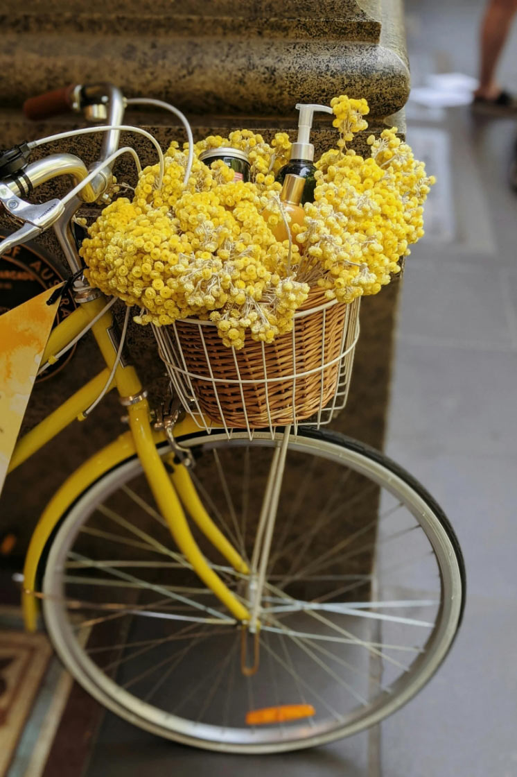 banner-bild-1.jpg banner-bild-1.jpg