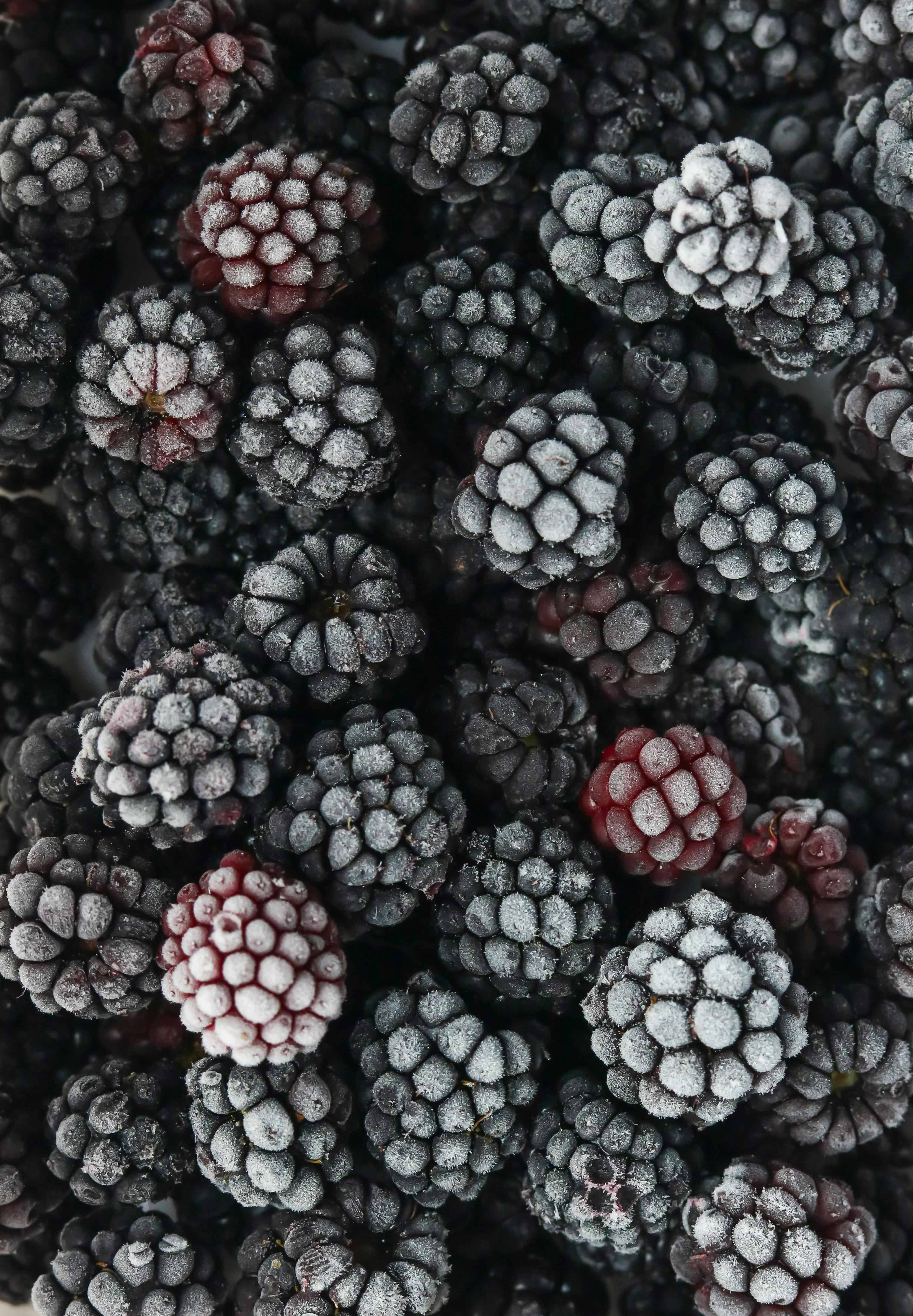 Geschmackvolle Brombeeren pexels-soumia-photography-131641539-14854040.jpg