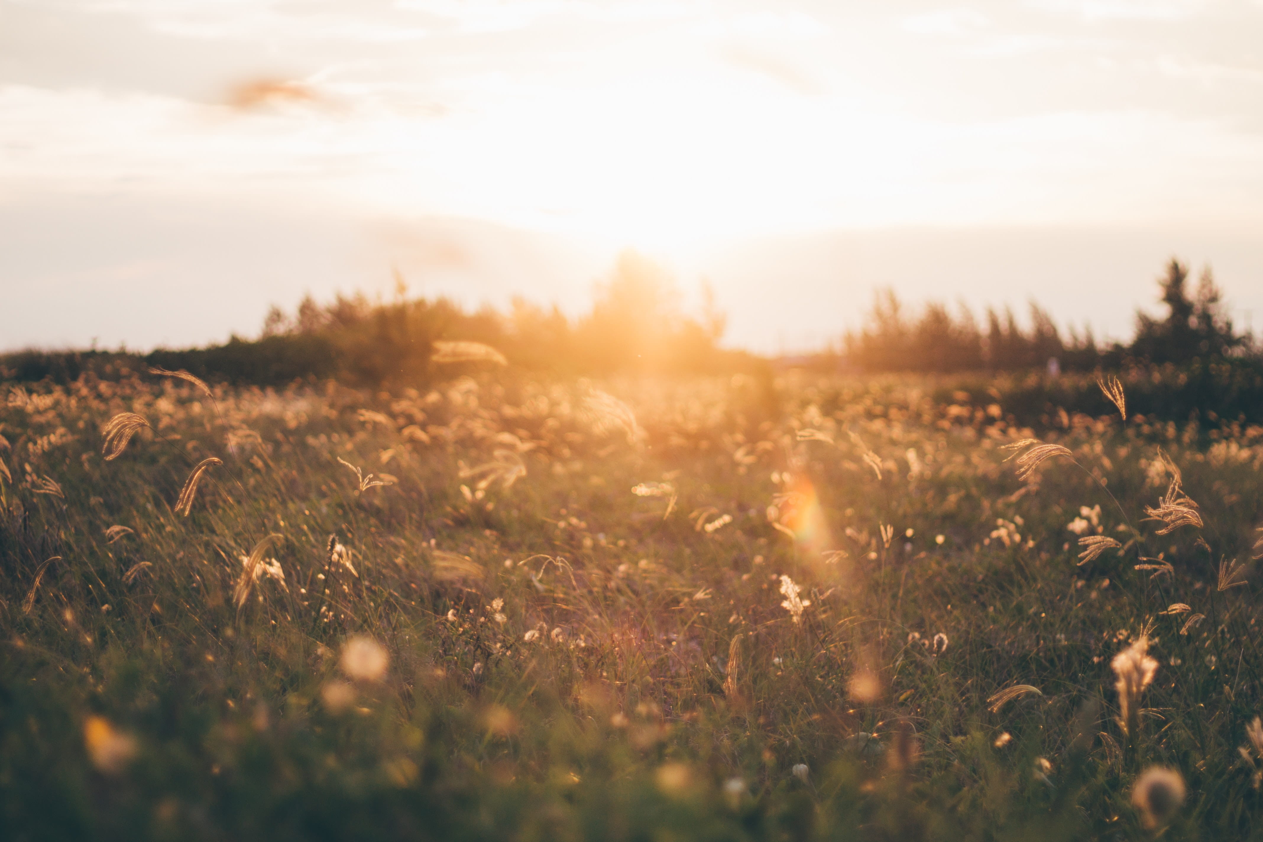 Sunrize pexels-jackson-jorvan-605494.jpg